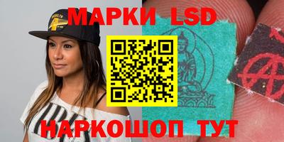 прущие грибы Абинск