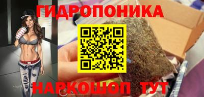 прущие грибы Абинск