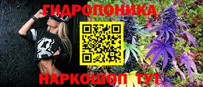 прущие грибы Абинск