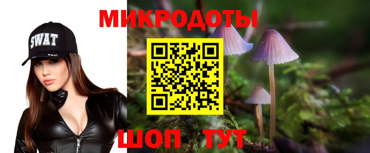 Александров  Псилоцибиновые грибы ЛСД  Вход с VPN 